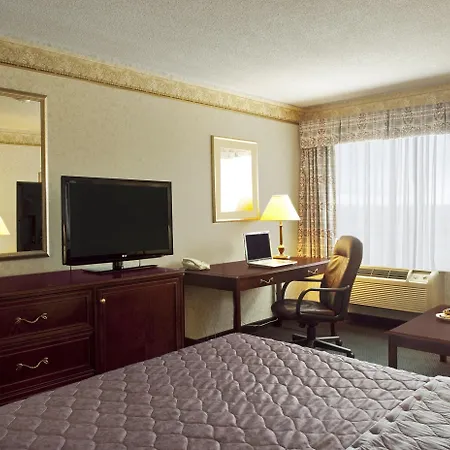 Stay Inn Hotel Toronto-3