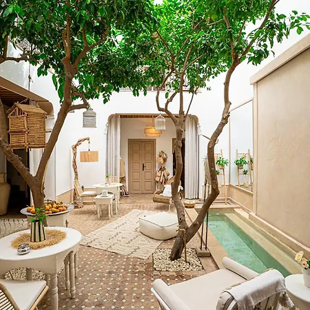 Riad Les Orangers D'alilia-2