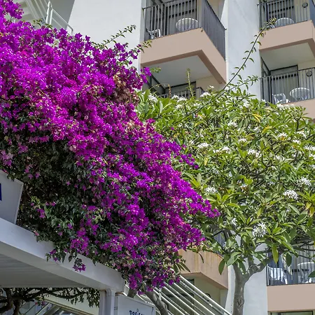 Dorisol Buganvilia Studio Hotel-3