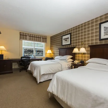 Sheraton Duluth Hotel-3
