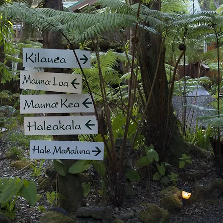 Volcano Village Lodge-3