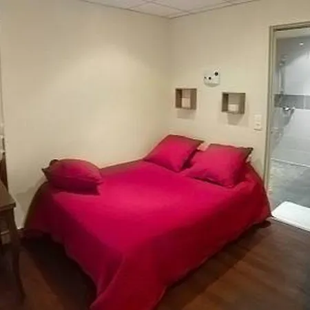 Hotel Jarry Confort-2
