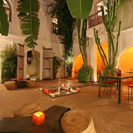Riad O2-3