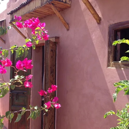 Riad Mehdia & Spa-3