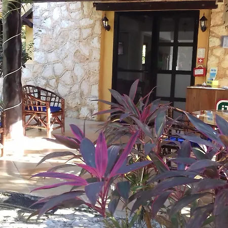 Casa De Las Tortugas I Tour Akumal-2