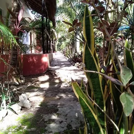 Casa De Las Tortugas I Tour Akumal-3