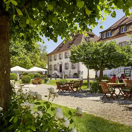 Schloss Reinach-3