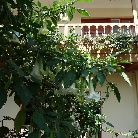 Kukuli Lodge B&B-2