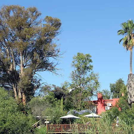 Gumtree Guest House-2