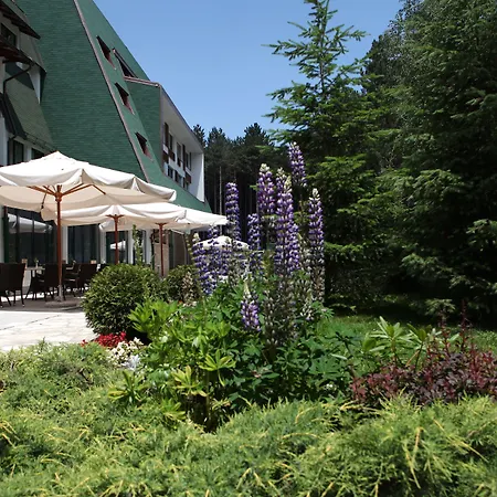 Mona Plaza Zlatibor-3