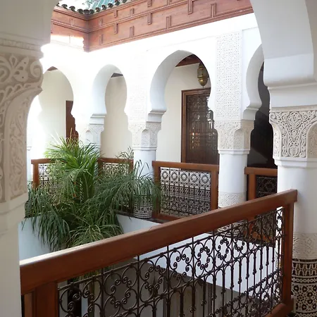 Riad Viva-2