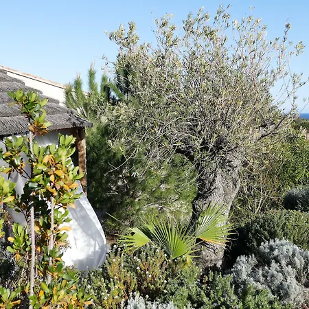 Domaine Santa Giulia Palace-3
