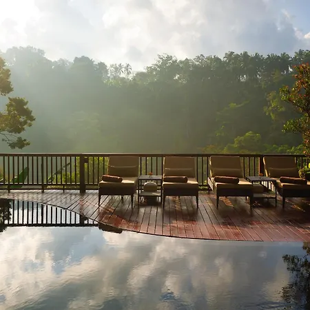 Nandini Jungle By Hanging Gardens-2