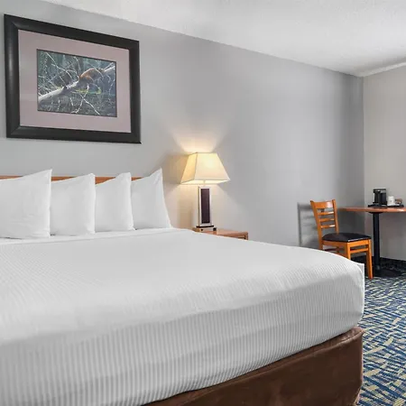 Surestay Plus Hotel By Best Western Lethbridge-3