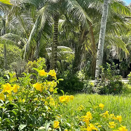 Blue Bay Village-2