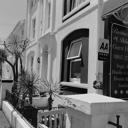 Babbacombe Palms-3