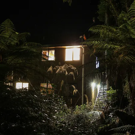 Rainforest Retreat-2