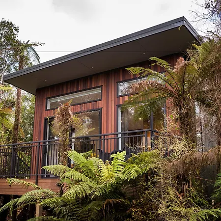 Rainforest Retreat-3