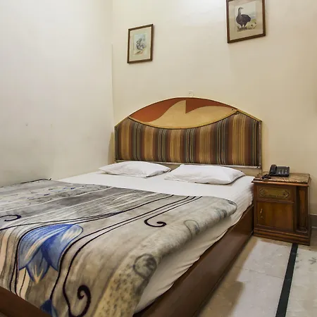 Hotel Sunshine - Karol Bagh Budget Stay At New Delhi-2