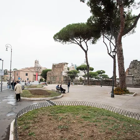 Chroma Italy - Chroma Octho-2
