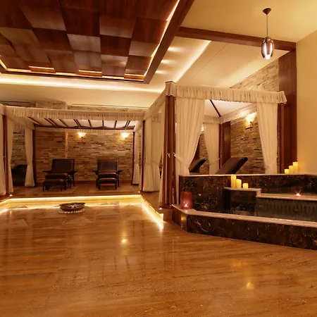 Radisson Blu Plaza Hotel Mysore-3