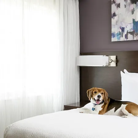 Residence Inn By Marriott West Palm Beach Downtown-3