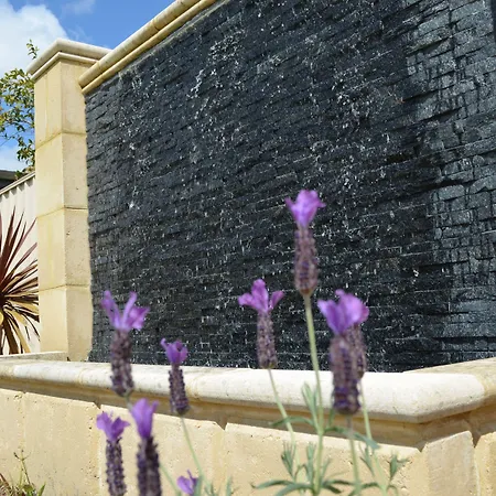 Ellard Bed & Breakfast-2