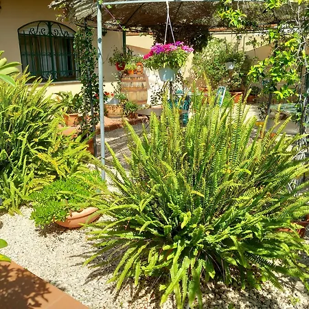 Bed&Breakfast Rosangela-3