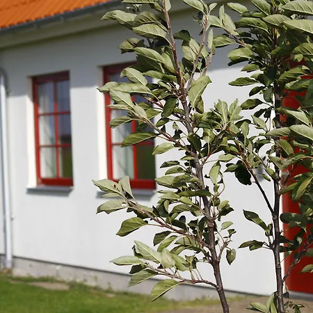 Hobykrok B&B-2
