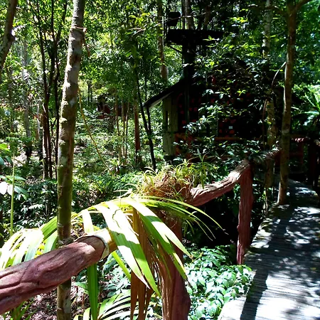 Khao Sok Tree House Resort-3