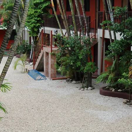 Blue Iguana-2
