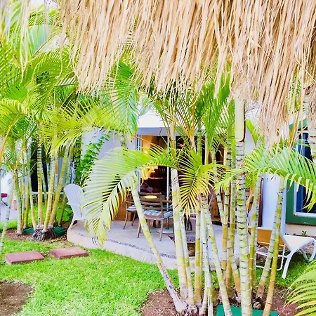 Dolce Vita Caribe Villas-3