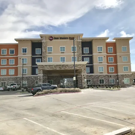 Best Western Plus Tech Medical Center Inn-3