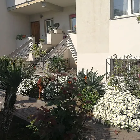 Area Domus-3