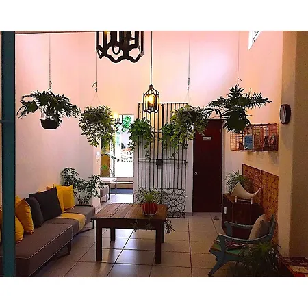 Casa Canario Hostel-3