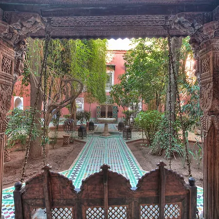 Riad Kaiss By Anika-3