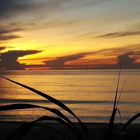 Bamboo Resort-3