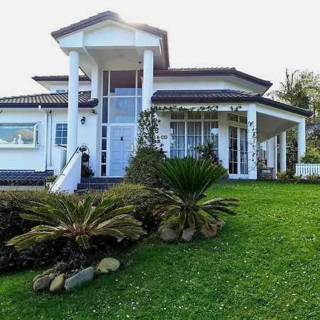 Lush&Co Auckland Bed&Breakfast-2