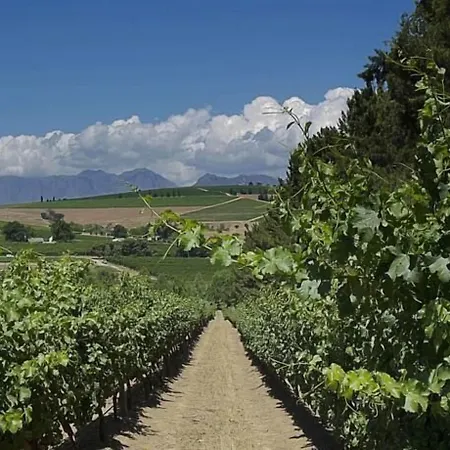 Clos Malverne Wine Estate-3