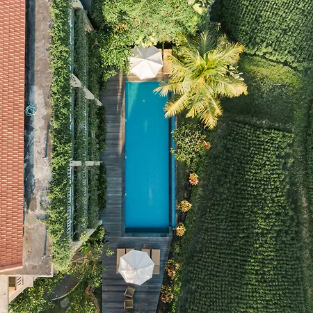 Byasa Ubud-2