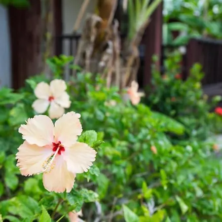 Weekender Bungalow-3