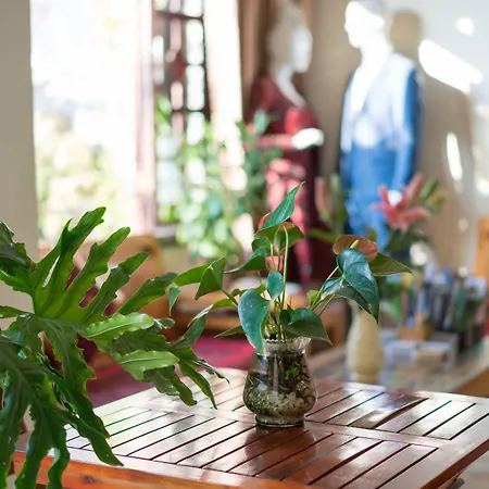 An Bang Beach Nature Homestay-3