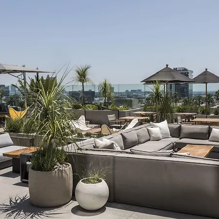 Kimpton Everly Hotel Hollywood By Ihg-2