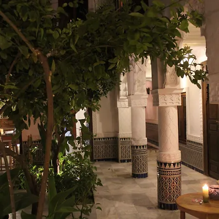 Riad Ben Youssef-2