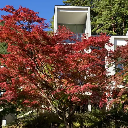 Hoshinoya Fuji-2