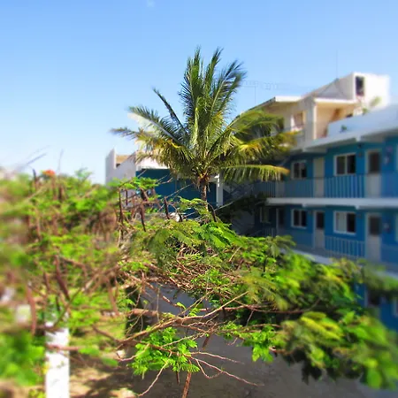 Blue Coconut Cancun Hotel-2
