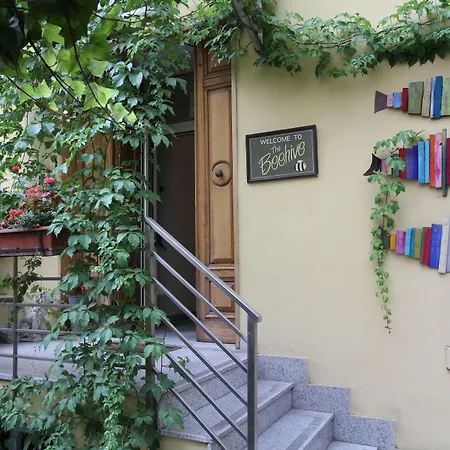 The Beehive Hostel-2