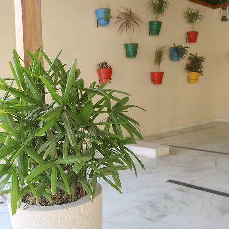 Brahma Horizon Hotel & Spa - Pushkar-2