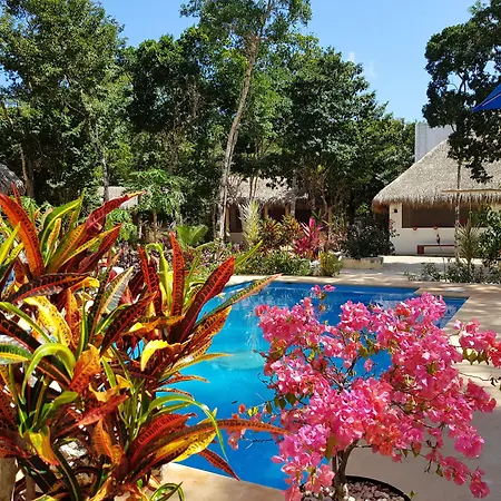 Maya Eco Village-3