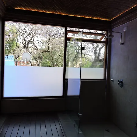 Casa Coyoacan-2